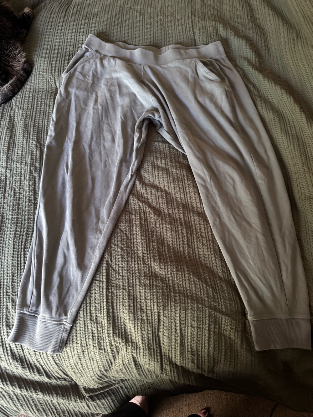 Pact women’s Light Olive Green Joggers XXL